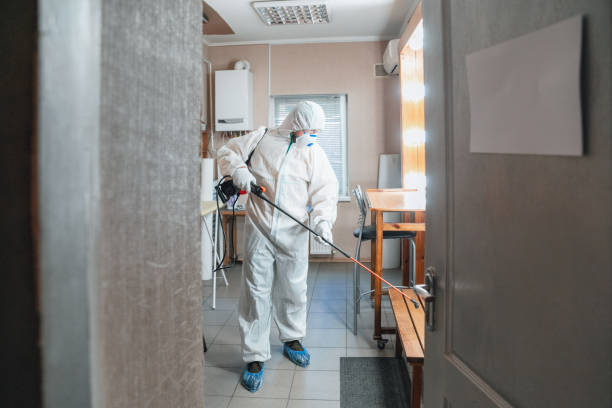 Best Mold Remediation for Healthcare Facilities  in Neptune City, NJ