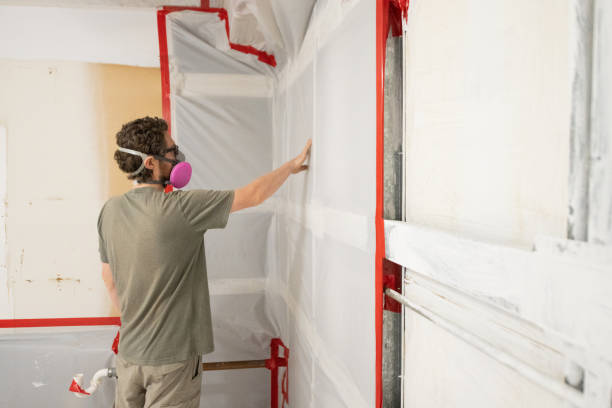 Environmental Consulting for Mold Prevention in Neptune City, NJ