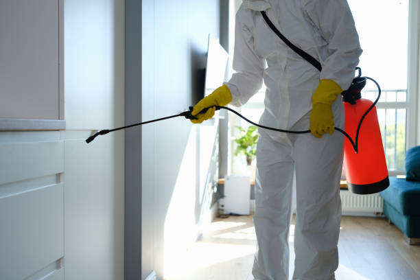 Best Mold Damage Restoration  in Neptune City, NJ